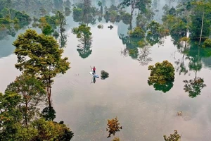 Đề cử Phong Nha - Kẻ Bàng thành Khu dự trữ sinh quyển thế giới