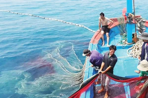 Tăng cường kiểm tra, hướng dẫn các địa phương ven biển việc thực hiện các quy định, khuyến nghị chống khai thác IUU của EC 