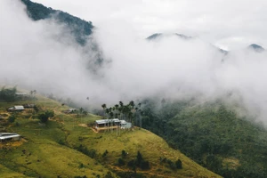 Thơ Tạ Văn Sỹ: Đêm Tu Mơ Rông