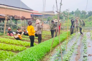 Chư Băh phát huy vai trò nông hội trong công tác giảm nghèo