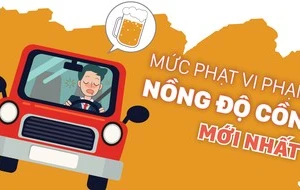 [Infographic] Mức phạt vi phạm nồng độ cồn mới nhất 