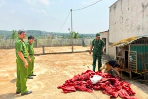 Kon Tum phối hợp Bình Thuận phá đường dây ma túy liên tỉnh