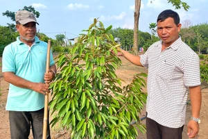 Trăn trở làng tái định cư bên lòng hồ thủy điện Ia Ly