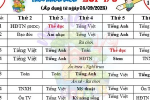 Bộ GD-ĐT chỉ đạo rà soát vụ chèn môn 'tự nguyện' vào chính khóa