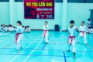 270 võ sinh Karatedo tham gia kỳ thi lên đai