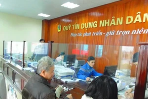 Bộ Tài chính trả lời kiến nghị của cử tri Gia Lai về mức vốn góp tối thiểu đối với thành viên quỹ tín dụng nhân dân