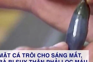 Ngộ độc nặng sau khi ăn mật cá