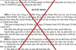 Quyết định giả mạo UBND tỉnh Gia Lai về việc giao đất trồng rừng