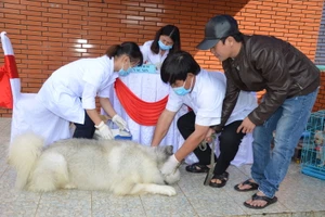 Mỗi huyện, thị xã, thành phố thành lập ít nhất 1 điểm tiêm vắc xin phòng bệnh dại