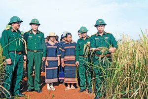 Binh đoàn 15 xây dựng thế trận lòng dân vững chắc trên vùng biên giới 