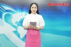 Gia Lai 24h: Nâng cao hiệu lực, hiệu quả quản lý và sử dụng đất 