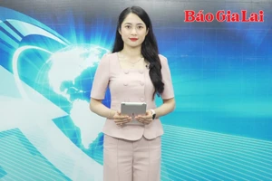 Gia Lai 24h: Gia Lai: Thu hồi đất các trường hợp thuê đất không đưa vào sử dụng