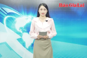 Gia Lai 24h: Tử vong do bệnh dại ở Gia Lai cao nhất nước, cần nâng cao ý thức người dân 