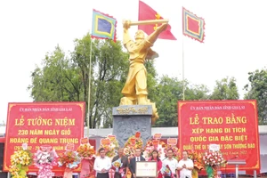 Rêu phong thành cổ 