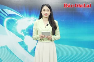 Gia Lai 24h: Bàn kế hoạch đưa nhân lực qua đào tạo về làm việc tại vùng nguyên liệu cà phê