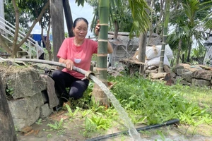 Hàng loạt trại chăn nuôi ở Đắk Nông gây ô nhiễm môi trường