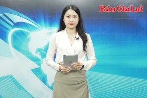 Gia Lai 24h: Gia Lai kỳ vọng dòng vốn FDI mới