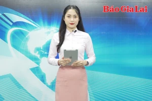 Gia Lai 24h: Phó Chủ tịch UBND tỉnh Nguyễn Hữu Quế chỉ đạo về hợp tác giữa Gia Lai với TP. Hồ Chí Minh và các tỉnh Tây Nguyên 