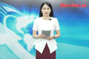 Gia Lai 24h: UBND tỉnh Gia Lai chỉ đạo tăng cường quản lý, bảo vệ rừng