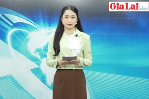 Gia Lai 48h: Khởi tố vụ khai thác rừng trái phép tại xã Sơ Pai