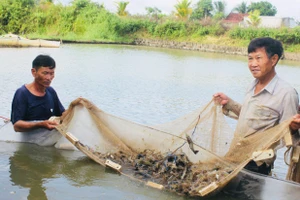 Nghề nuôi trồng thủy sản tại Phú Thiện: Tín hiệu khả quan