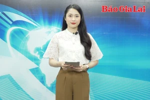 Gia Lai 24h: Xử phạt hơn 7 ngàn trường hợp vi phạm Luật Giao thông đường bộ 