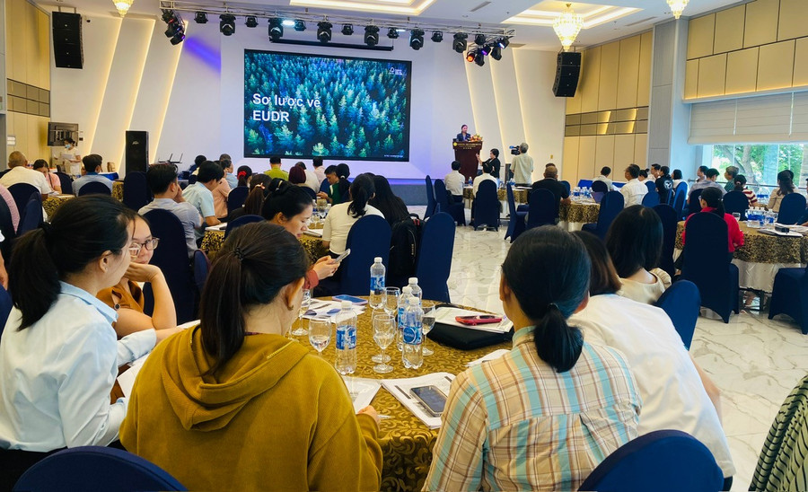 Các đại biểu được cập nhật nhiều thông tin quan trọng về chuỗi sản phẩm gỗ và các quy định chống phá rừng của Liên minh châu Âu (EUDR). Ảnh: K.H z7052255528075-95f4296e52ed12255e3fc4ff2e0ce0ed.jpg