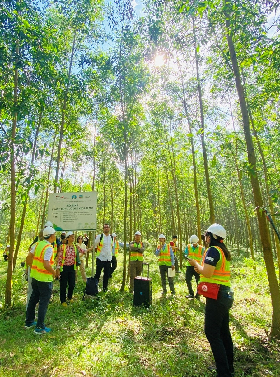 Trong khuôn khổ hội nghị, sáng 19-5, các đại biểu đã tham quan mô hình trình diễn của Công ty TNHH Lâm nghiệp Quy Nhơn. Ảnh: N.N hoi-nghi-rung-2.jpg
