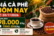 Giá cà phê hôm nay 20/7: Trong nước tăng, thế giới đứng giá