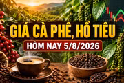 Giá cà phê hôm nay 5/8 giảm nhẹ, hồ tiêu đi ngang