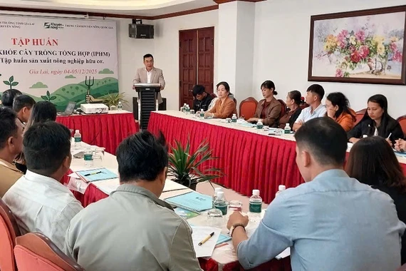 Cán bộ khuyến nông và nông dân Tây Gia Lai tham gia lớp tập huấn Quản lý sức khỏe cây trồng tổng hợp (IPHM).