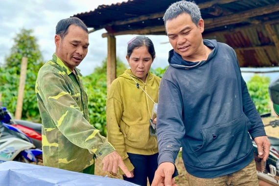 Dự án thành phần 3 cao tốc Quy Nhơn-Pleiku đảm bảo khởi công theo đúng kế hoạch trong tháng 12-2025.