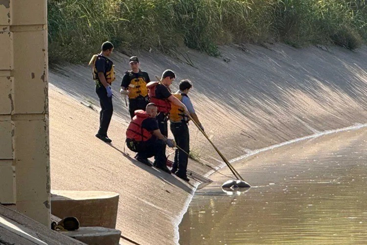 Đội lặn vớt thi thể trôi nổi ở ven sông White Oak Bayou (Houston) ngày 8-10. Ảnh: Houston Chronicle white-oak-bayou-texas-2025-100-6.jpg