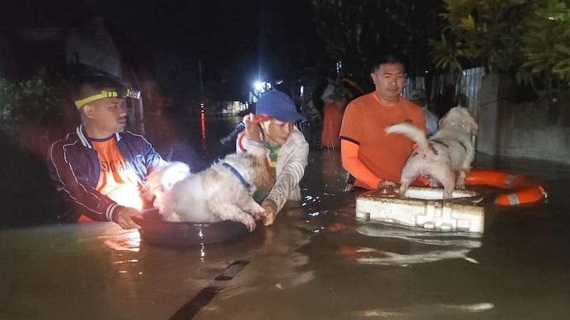 Người dân ở tỉnh Leyte sơ tán để tránh bão Bualoi. Ảnh: 1news residents-and-their-dogs-are-eva.jpg
