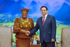 WTO kêu gọi các nước kiềm chế trả đũa khởi lên từ đe dọa áp thuế của ông Trump 