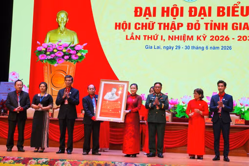 Ông Hà Văn Cát tái đắc cử chức Chủ tịch Hội Chữ thập đỏ tỉnh Gia Lai 