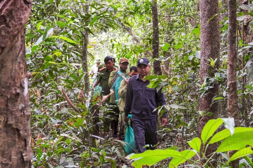 Thả 8 cá thể động vật quý hiếm về rừng Kon Ka Kinh