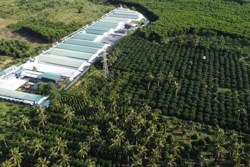 Kỳ vọng phát triển nông nghiệp bền vững, lấy người dân làm trung tâm.