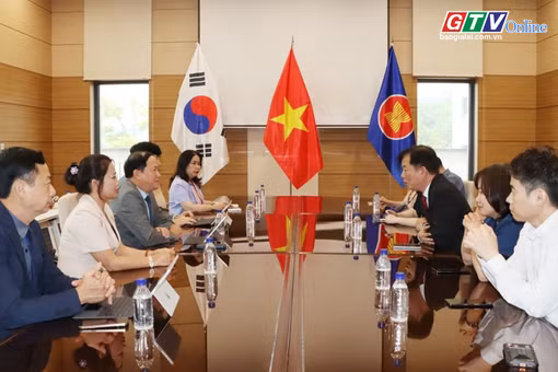 Toàn cảnh Gia Lai 24h: Gia Lai xúc tiến đầu tư, hướng tới thu hút doanh nghiệp và du khách Hàn Quốc