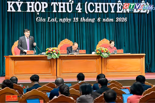 Điểm tin trưa: HĐND tỉnh Gia Lai thông qua 5 nghị quyết quan trọng thúc đẩy phát triển giai đoạn mới