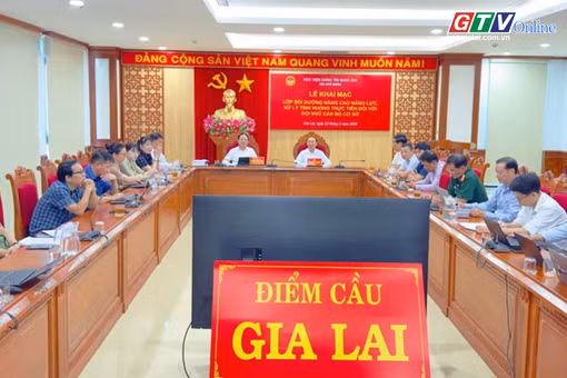 Toàn cảnh Gia Lai 24h: Bồi dưỡng năng lực thực tiễn cho cán bộ cơ sở tại Gia Lai