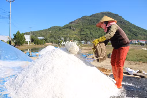 Gia Lai: Hơn 7.580 tấn muối còn tồn trong dân