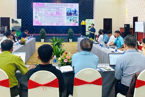 Chủ động tìm hướng thích ứng với EUDR