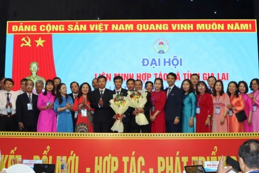 Ông Ngô Thanh Lý được tín nhiệm giữ chức Chủ tịch Liên minh Hợp tác xã tỉnh