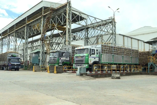 Nhà máy Đường An Khê chính thức bước vào vụ ép 2025-2026