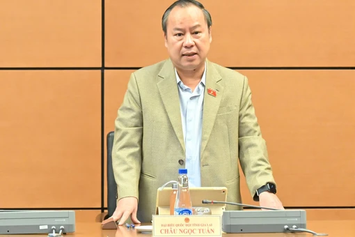 Trưởng đoàn ĐBQH tỉnh Gia Lai Châu Ngọc Tuấn đề nghị quy định rõ nguyên tắc quy hoạch sau sáp nhập để tránh chồng lấn và gián đoạn quản lý.