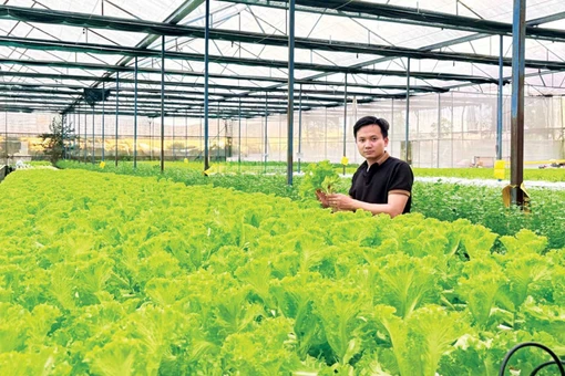 Khi nông dân mang tư duy doanh nhân