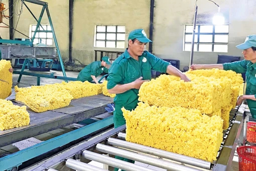 Công nghiệp chế biến: Động lực tăng trưởng mới