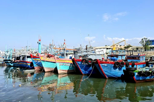 Tháo gỡ những “điểm nghẽn” để ngăn chặn khai thác IUU