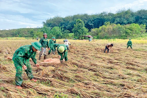 Ấm no một dải biên cương